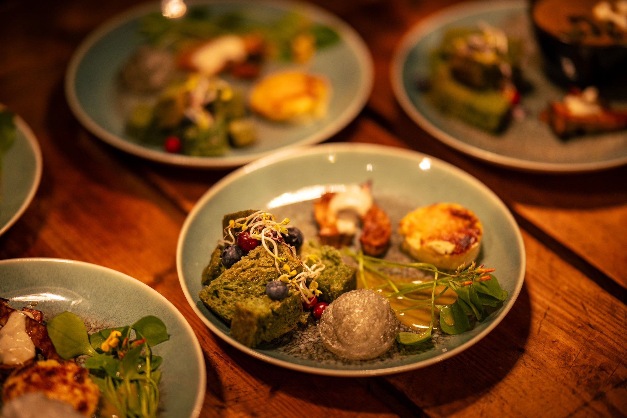 Mehrere Teller mit Essen auf einem Holztisch. Es ist grünes Brot, Kresse, Salat und Weiteres zu sehen. 
Bildrecht bei Thomas Mohn.
