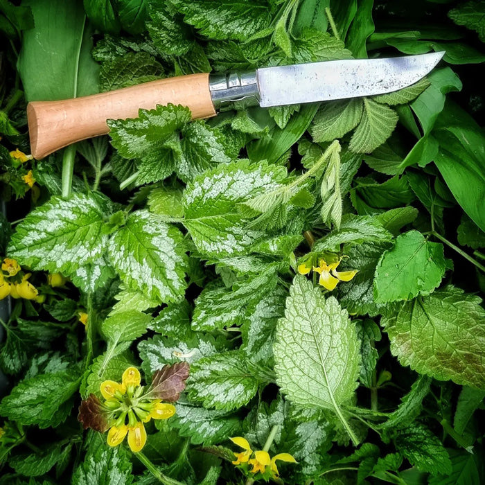 Kräutertour in Münster - Workshop -Kurs zu unterschiedlichen Wildkräutern. Auf dem Ankündigungsfoto sieht man ein Outdoof Messer, Taubnesseln, Minze, Bärlauch, Blüten und andere Kräuter